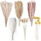 100PCS Natural Dried Pampas Grass Decor - 17.5" Fluffy Pampas Grass Bouquet - Boho Home Decor Dried Flowers for Wedding Floral Room Home Party Table Decorations